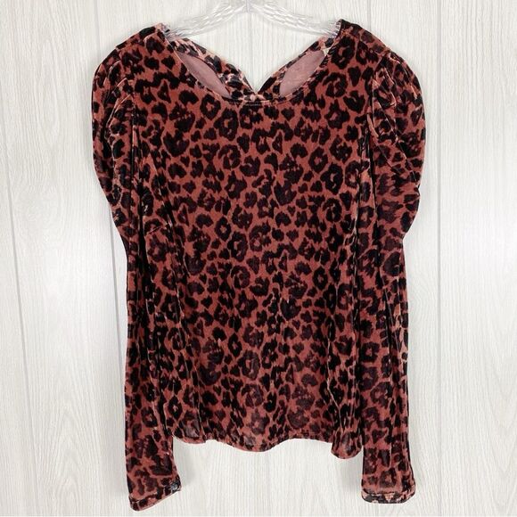 Anthropologie Tops - Anthropologie | Dolan | Charley Velvet Leopard Blouse Size Medium